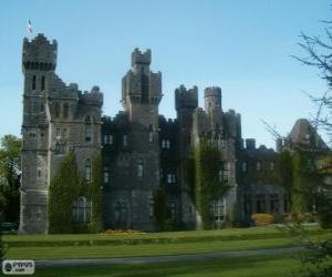 Puzzle Ashford κάστρο, Ιρλανδία